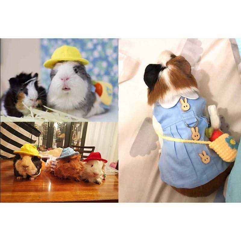 Ferret Clothes Set Small Animal Harness and Leash Adjustable Chest Straps K835880