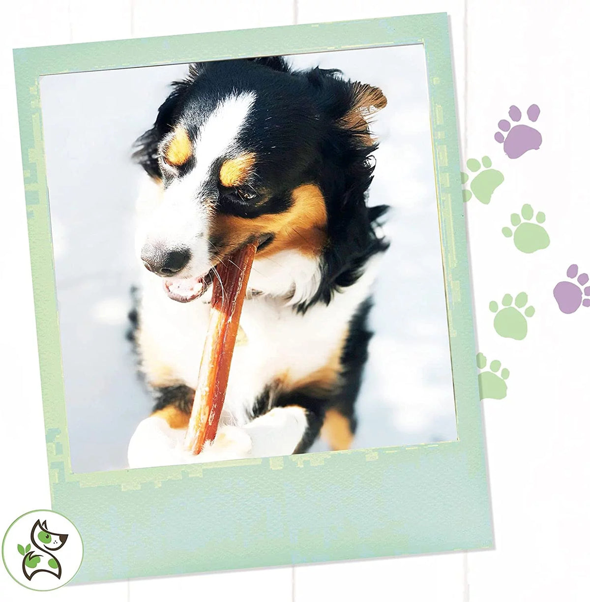 Large Beef Bully Sticks for Dogs 5 Count X262449