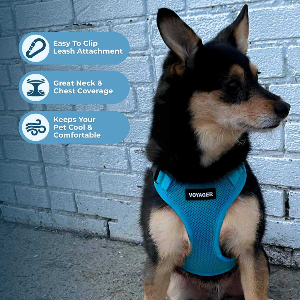 Adjustable All Weather Mesh Step-in Pet Harness K3281