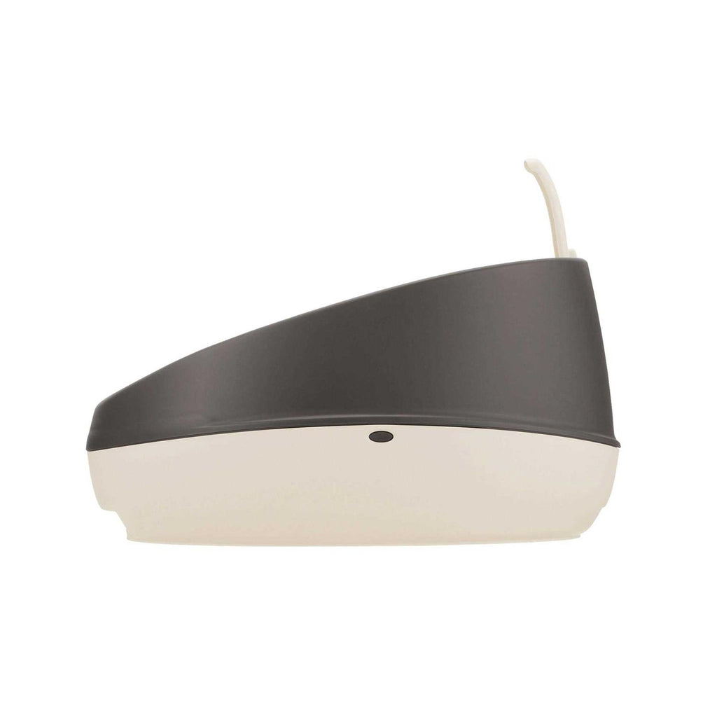 Rimmed Cat Litter Pan H87280