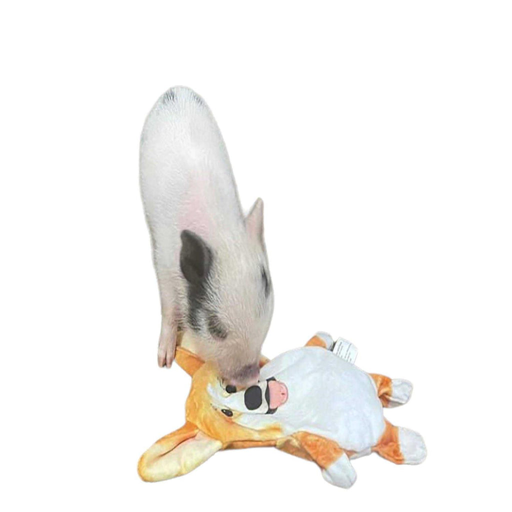 Corgi Paper Crinkle Squeaker Toy G450