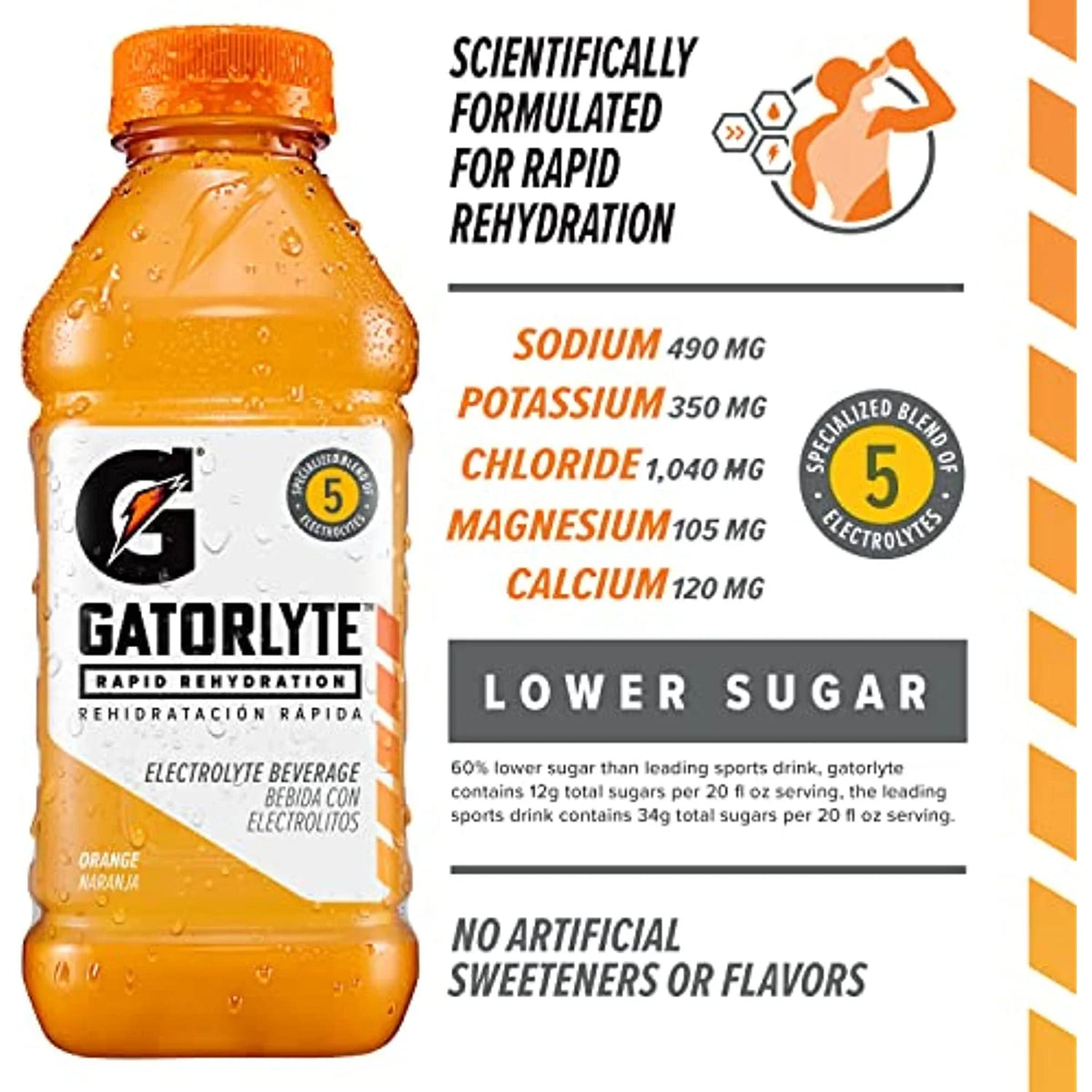 3 Flavor Variety Pack 20Oz Bottles (12 Pack) Electrolyte Beverage T870