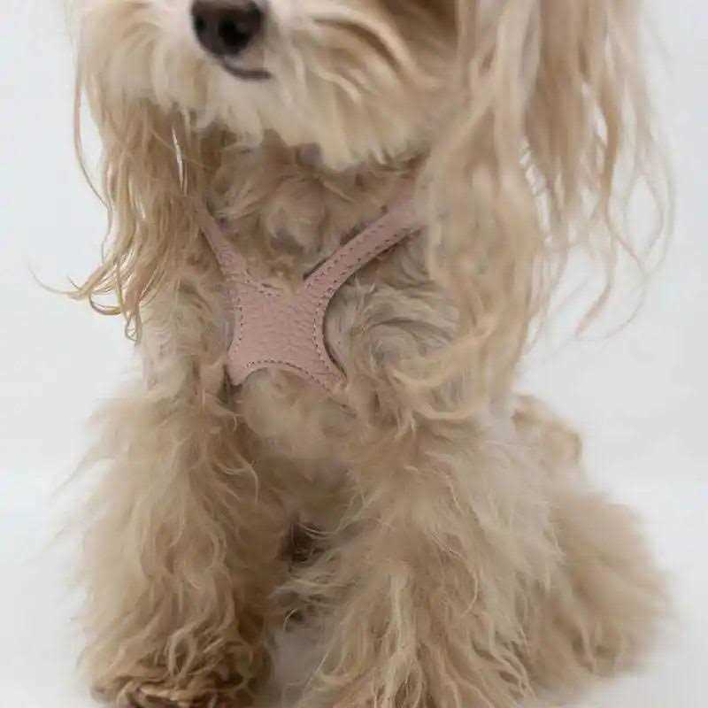 Pebble Grain Harness E141