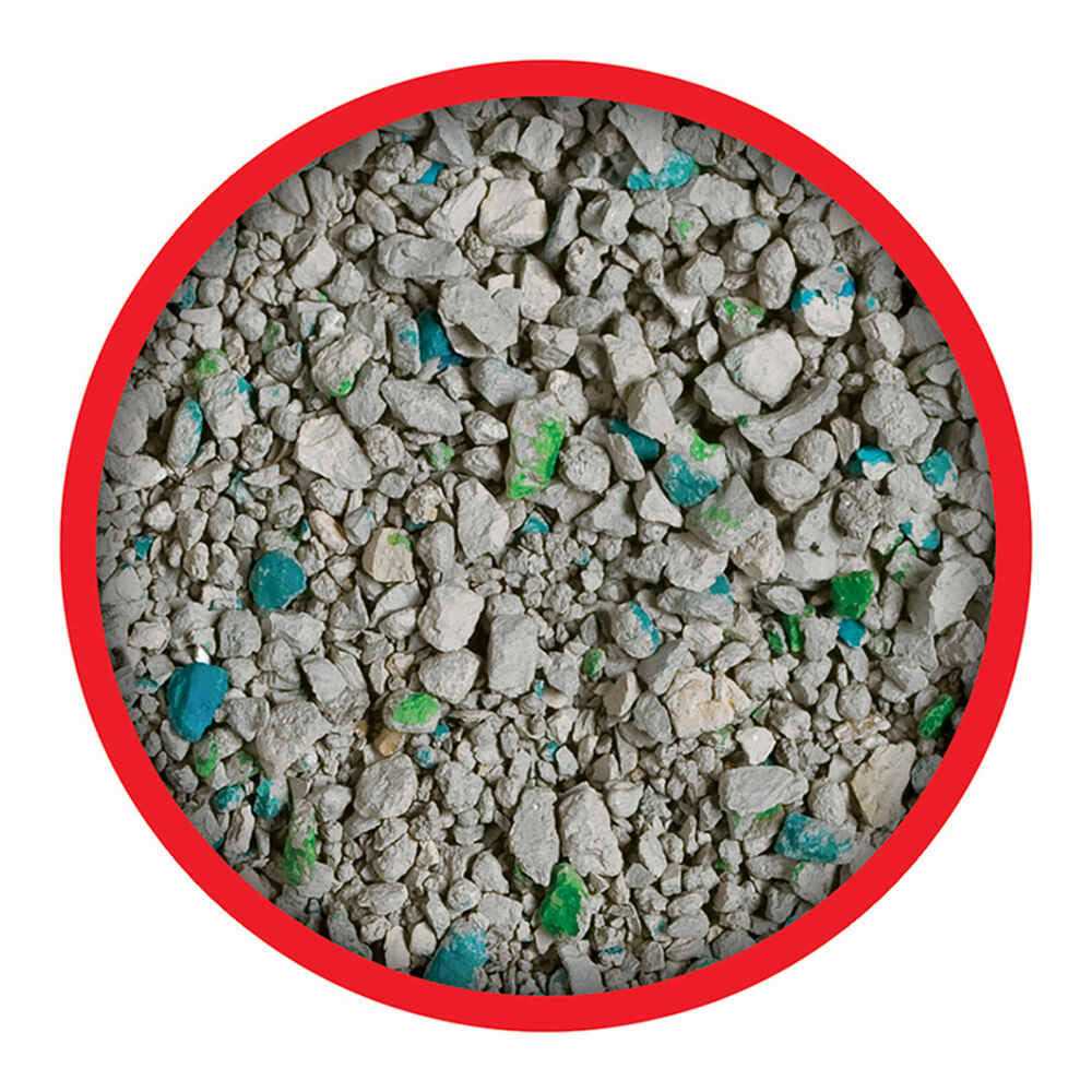Non Clumping Cat Litter O218224