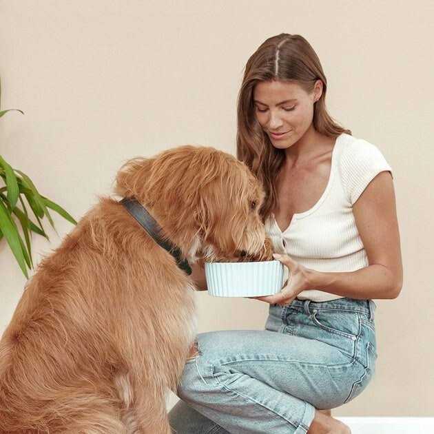 Sweet Potato & Carrot Dry Dog Food M73324