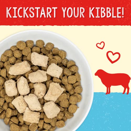 Freeze Dried Raw Super Beef Meal Mixer Dog Food Topper – 3.5 oz Bag K328250
