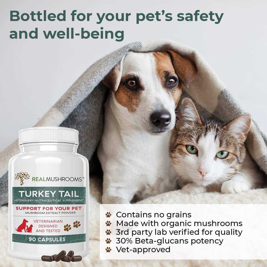 Turkey Tail Extract Capsules for Pets K638
