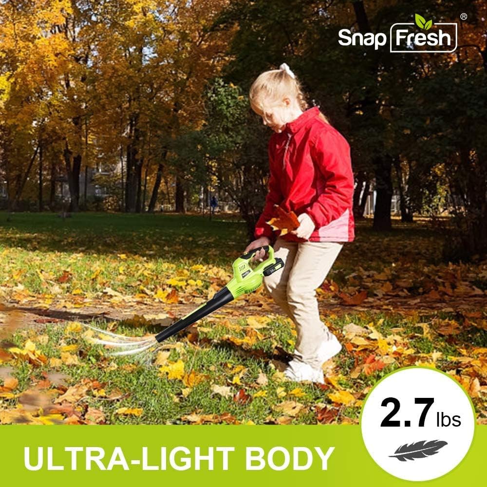 20V Cordless Electric Leaf Blower with Battery & Charger F278