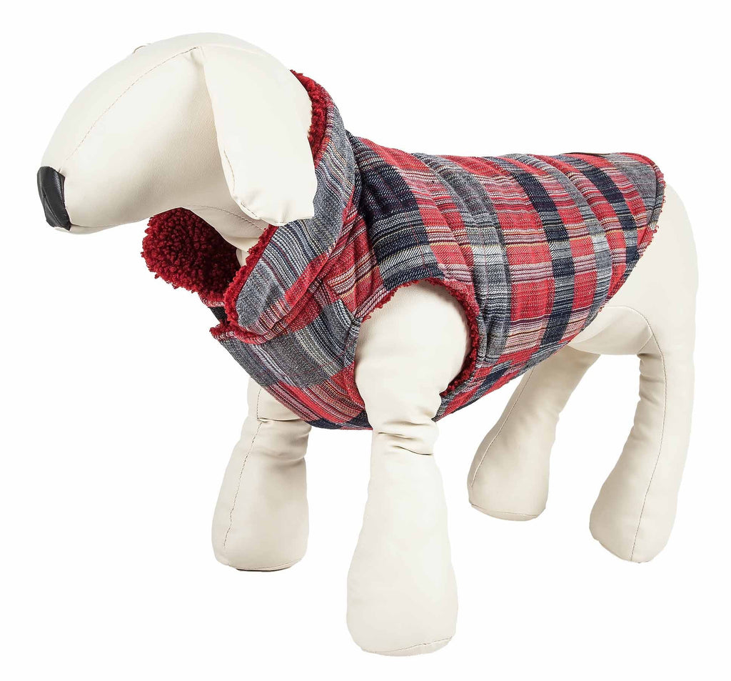 Insulated Dog Coat Jacket Y1271