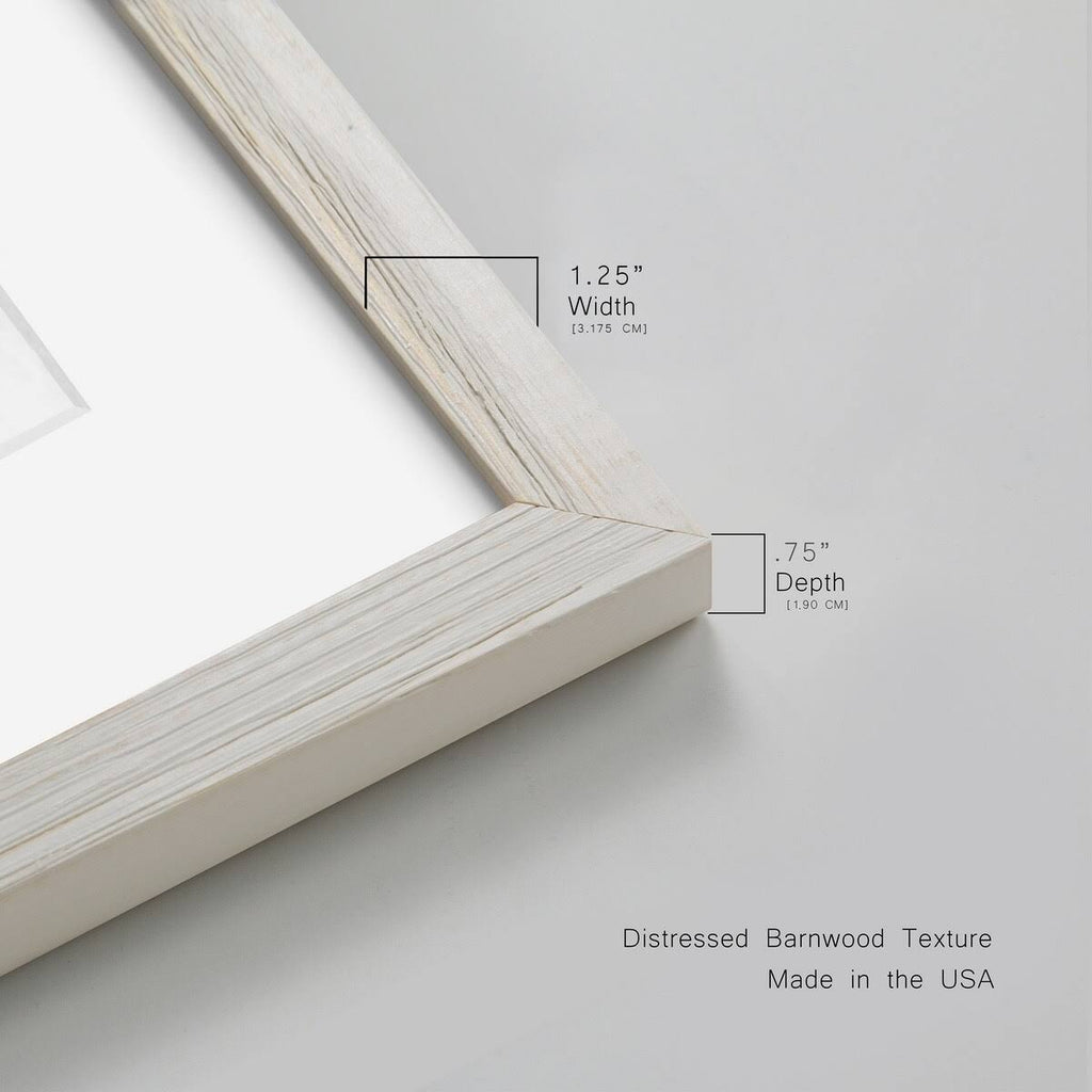 Framed Canvas L1379
