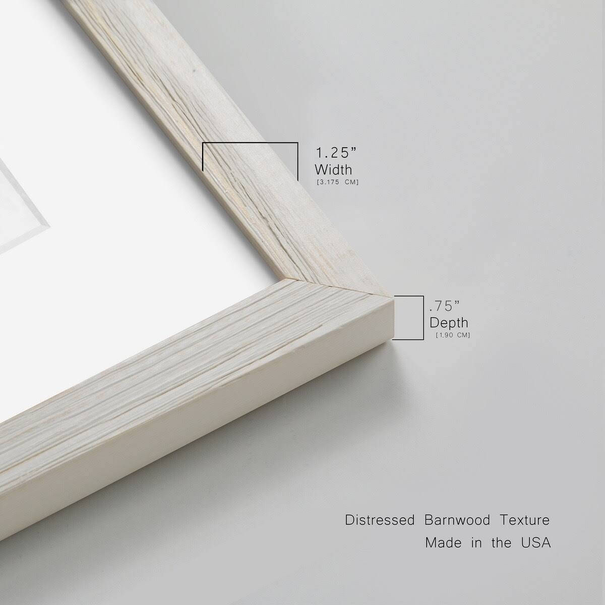 Framed Canvas L1379