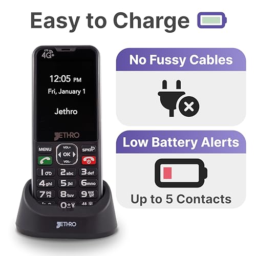 Large Button Cell Phone with 4GB High-Speed Data 6-Month Plan V548767