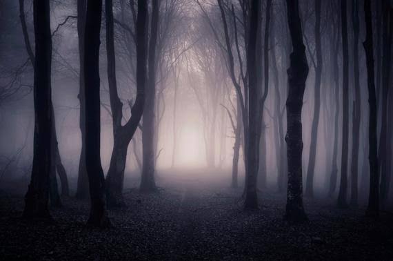 Dark Woods Candle V7692