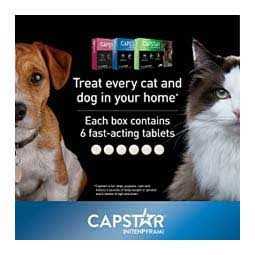 Flea Oral Treatment for Dogs X41270
