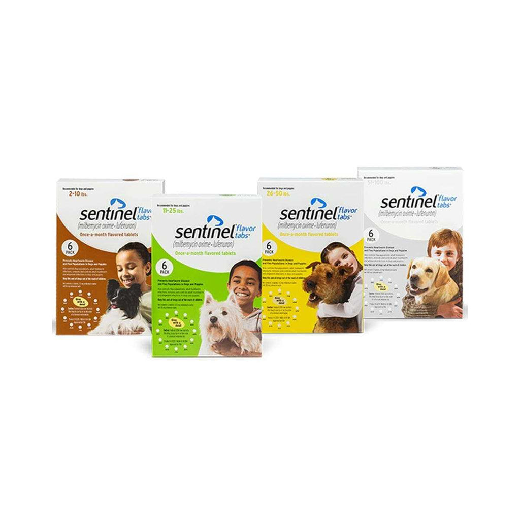 Flavor Tabs for Dogs R6163