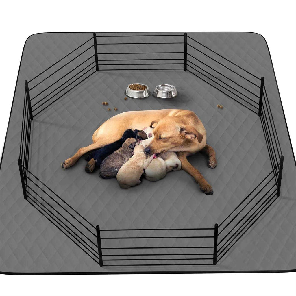 Washable Waterproof Extra Large Dog Pee Pad M893