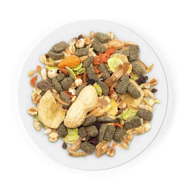 Rat Food U842