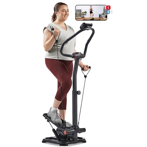 2-in-1 Stepper with Resistance Bands T101