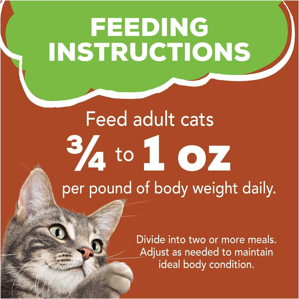 Wet Cat Food C4566