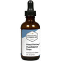 Pineal/Pituitary/Hypothalamus Drops 2oz T7163