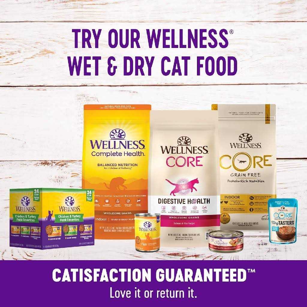 Cat Treats T846