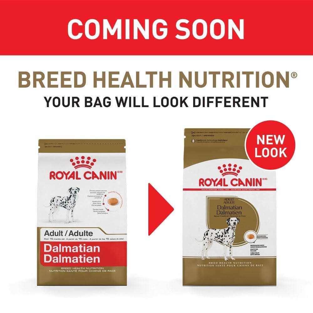 Adult Dry Dog Food Q107