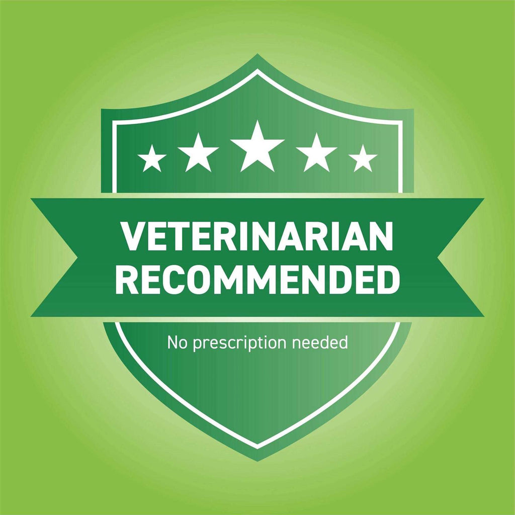 Flea Oral Treatment for Dogs X41270