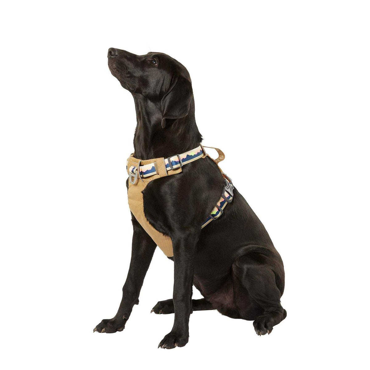 Lightweight Dog Harness L1678