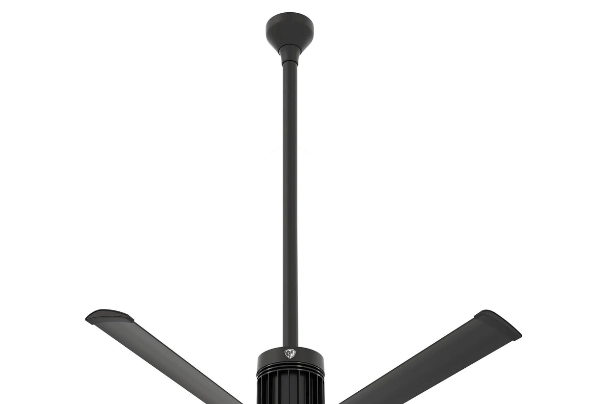 Black Ceiling Fan P54093