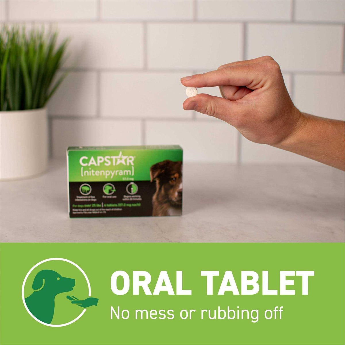 Flea Oral Treatment for Dogs X41270