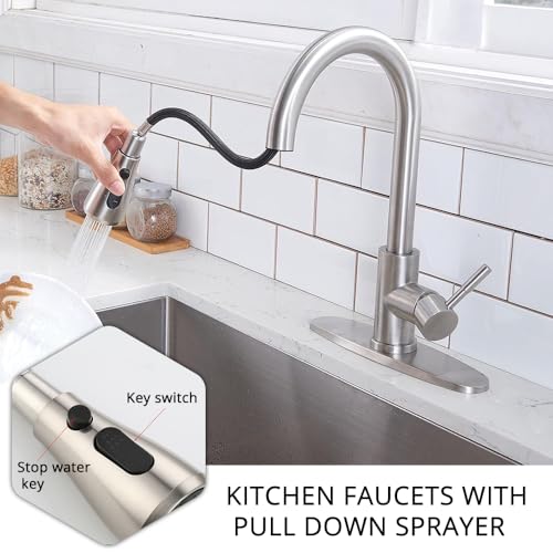 Single Handle Pull Down Sprayer Kitchen Faucet O1958