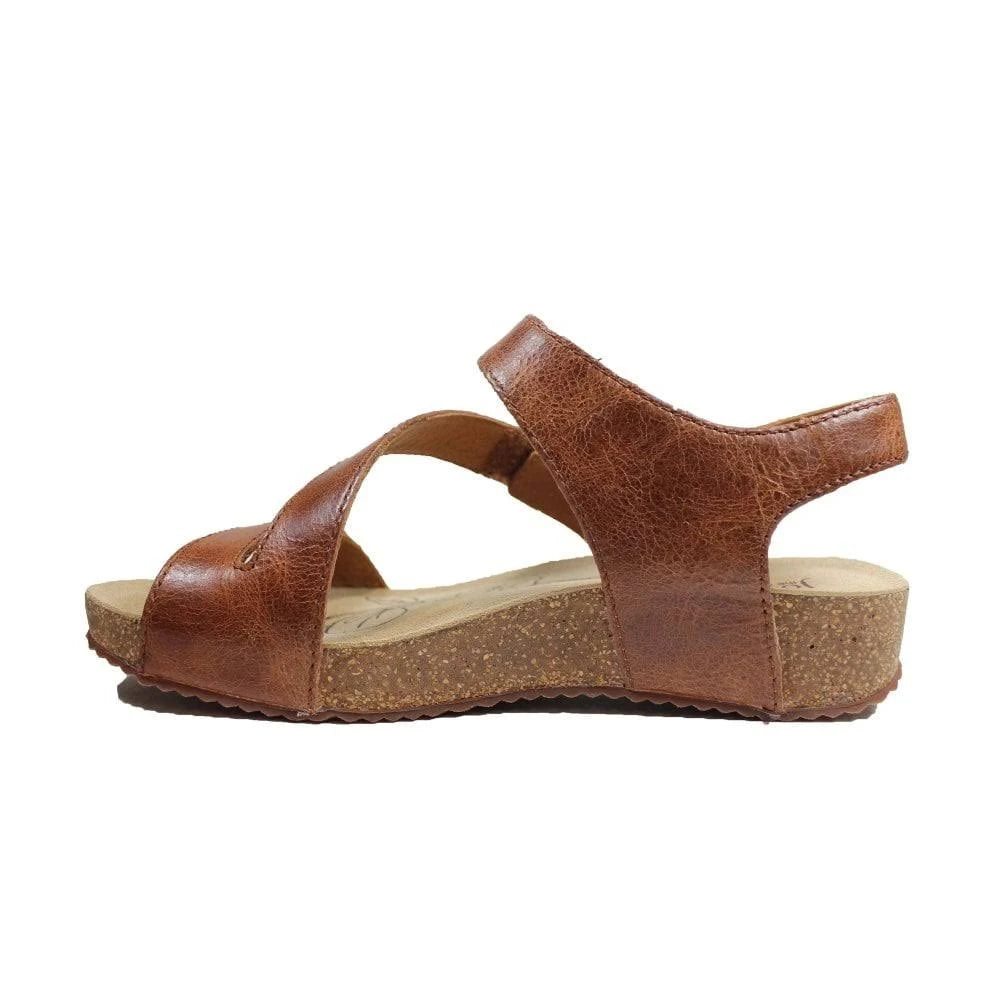 Camel Tonga 25 Shoes O5756