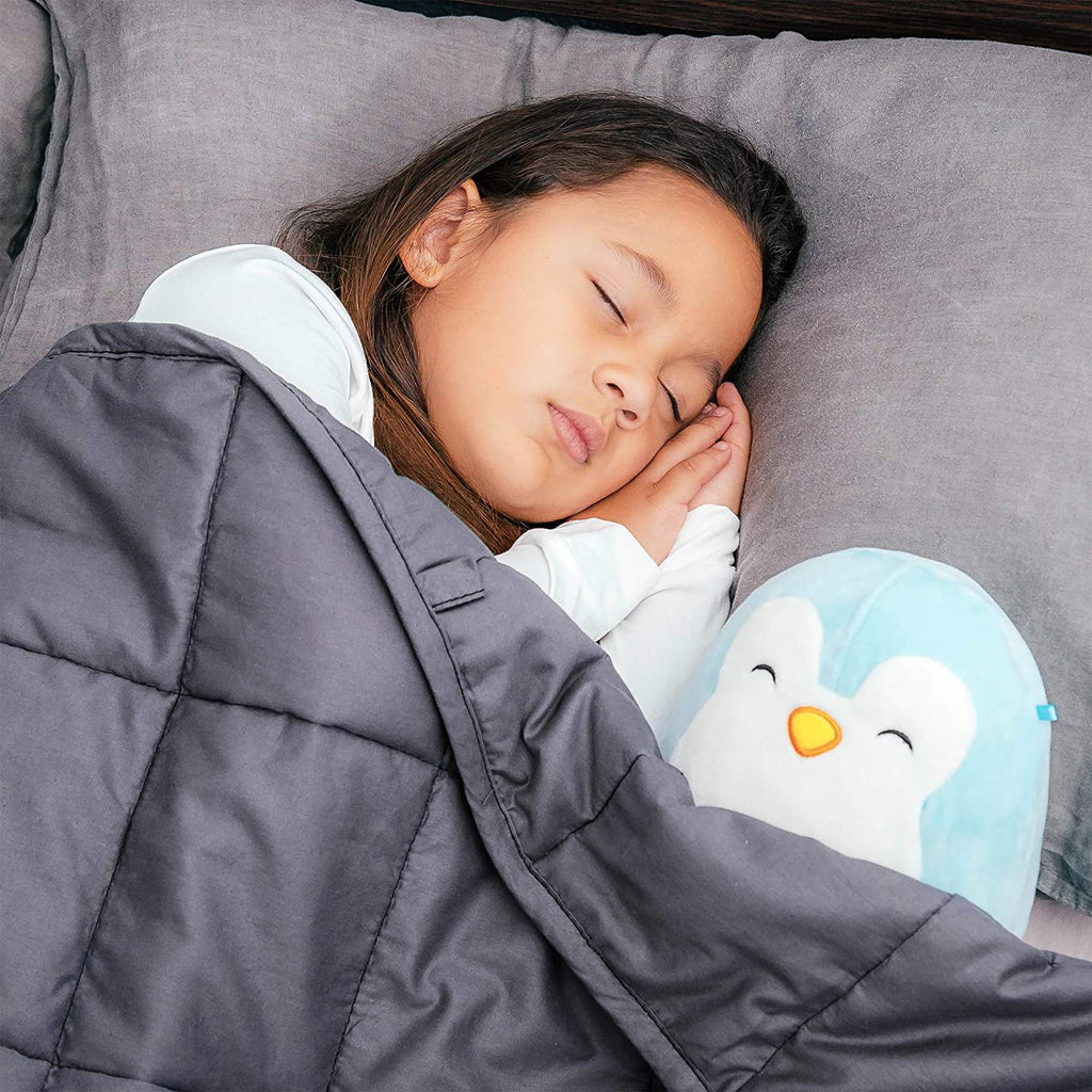Gray 7 Pounds Weighted Blanket R59819