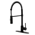 Black Single-Handle Pull-Down Sprayer Kitchen Faucet E3517