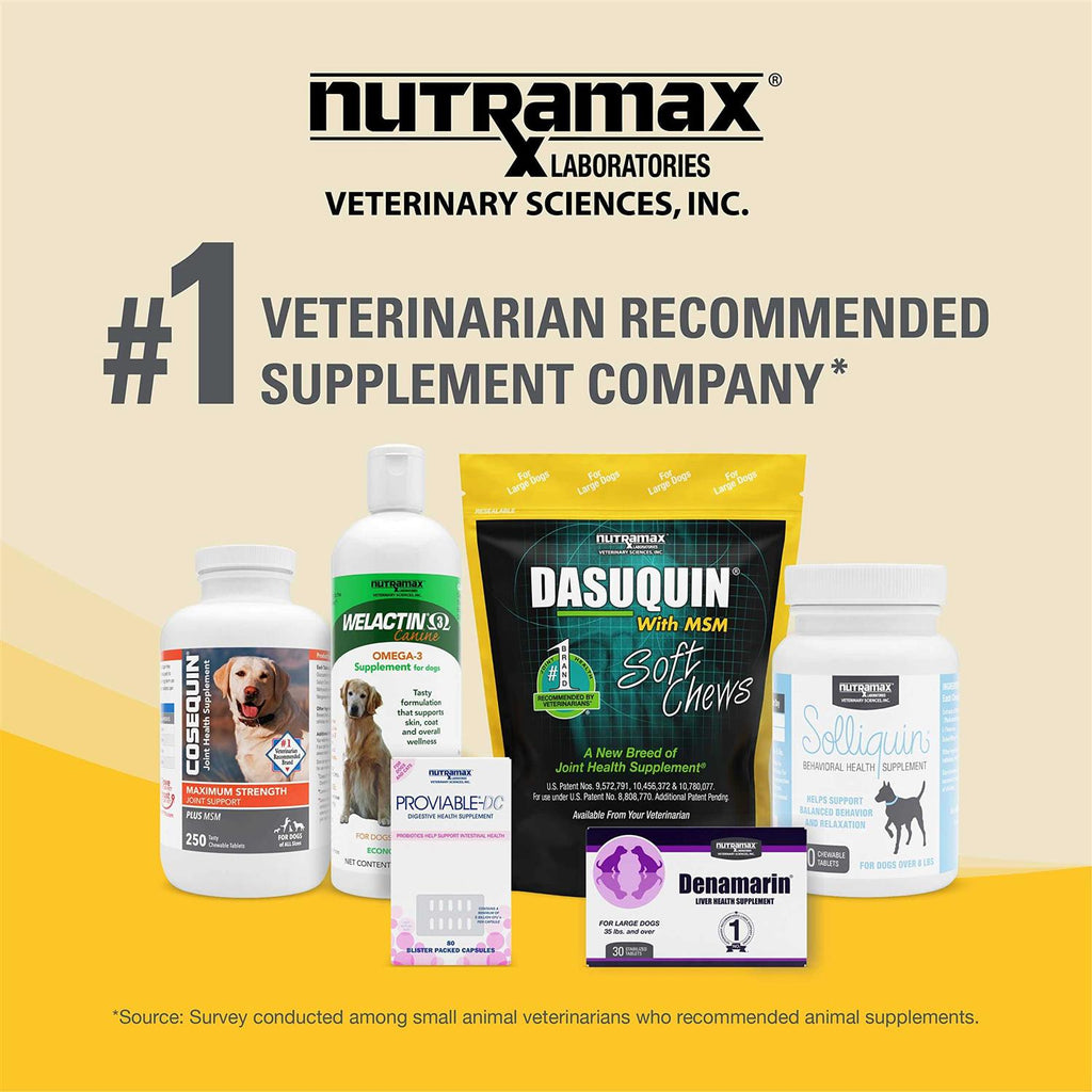 Soft Chews Joint Health Supplement Dogs O64106