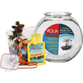Glass Fish Bowl with Starter Kit S395266