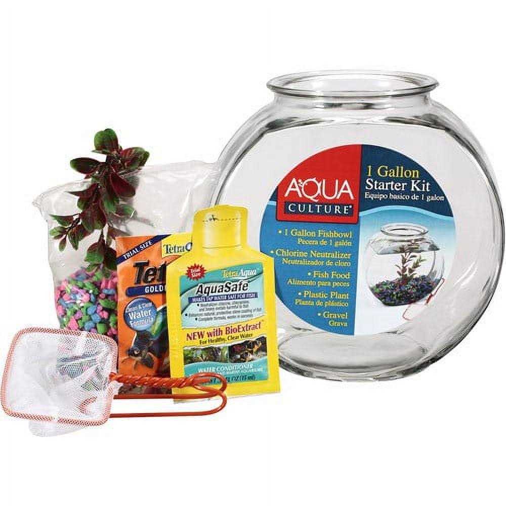 Glass Fish Bowl with Starter Kit S395266