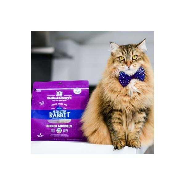 Salmon Chicken Freeze-Dried Cat Food X774