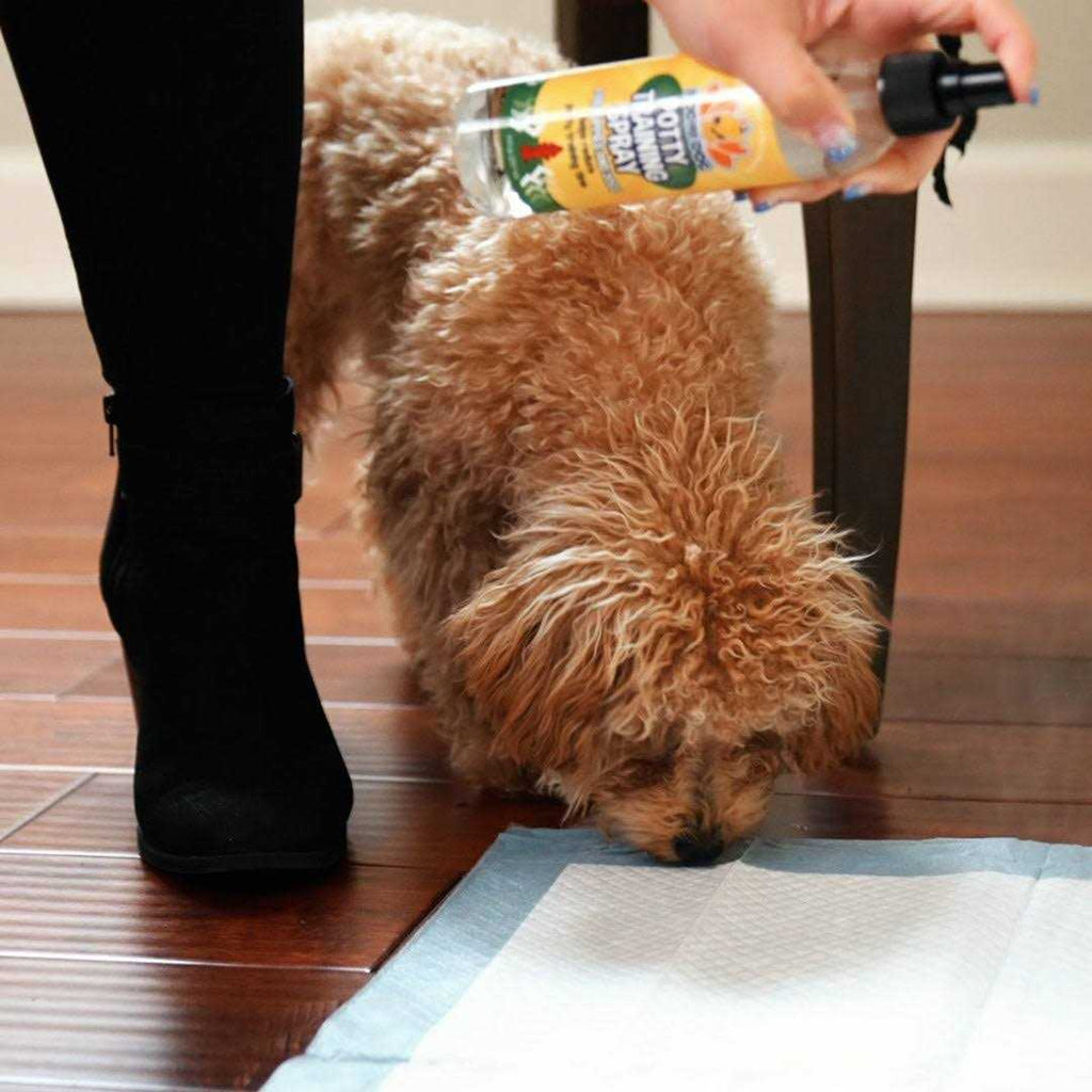 Indoor Outdoor Potty Training Spray for Dogs & Puppies A468