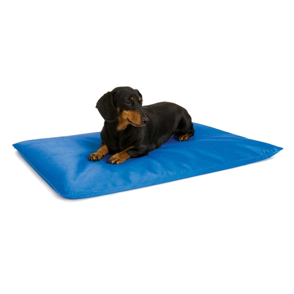 Cool Pet Bed O917930