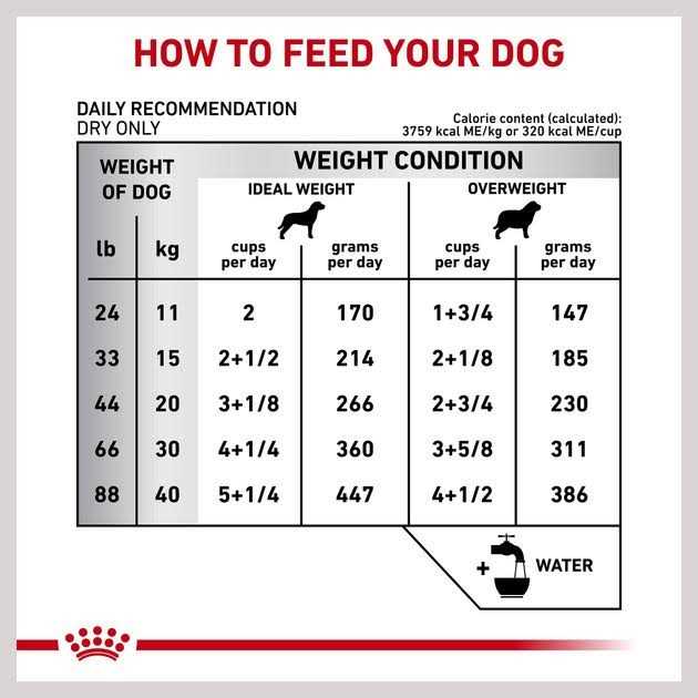 Dry Dog Food N2186