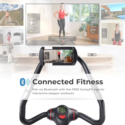2-in-1 Stepper with Resistance Bands T101