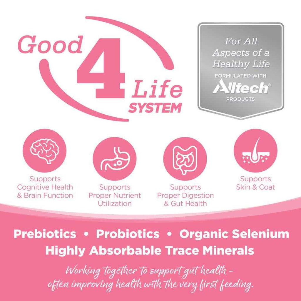 Grain Free Salmon Dog Food F1628
