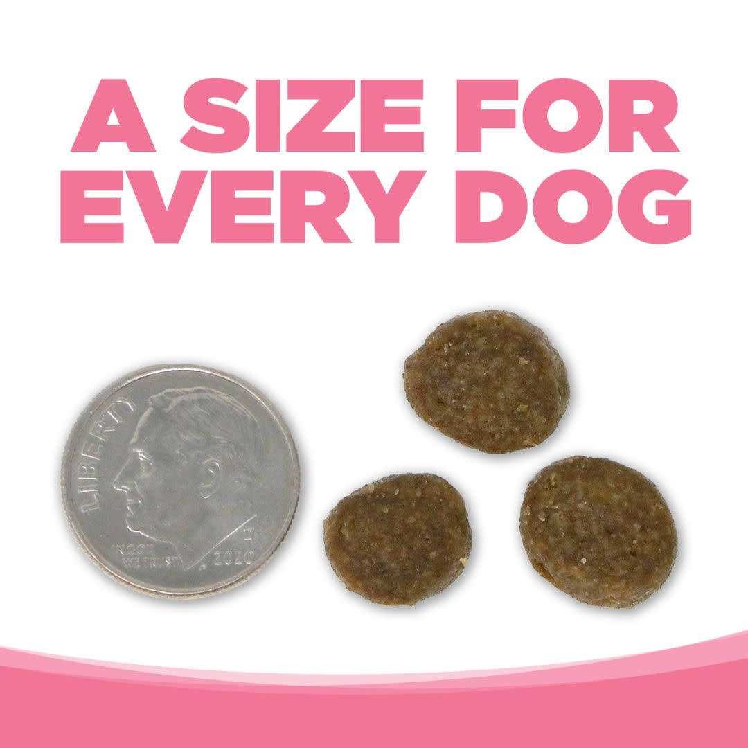 Grain Free Salmon Dog Food F1628