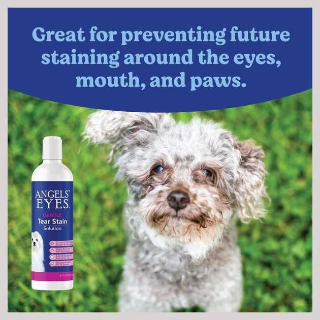 Tear Stain Solution Q98780