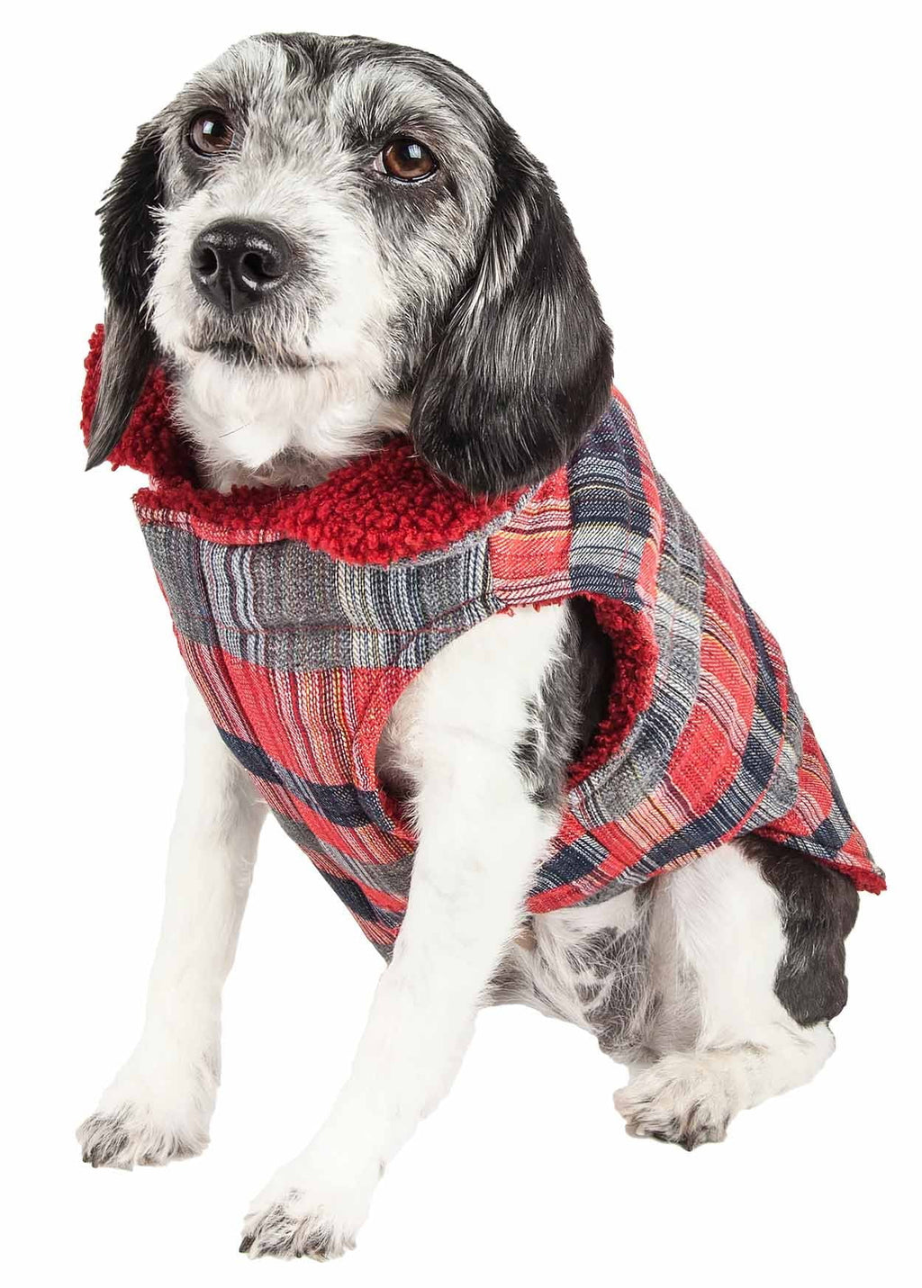 Insulated Dog Coat Jacket Y1271