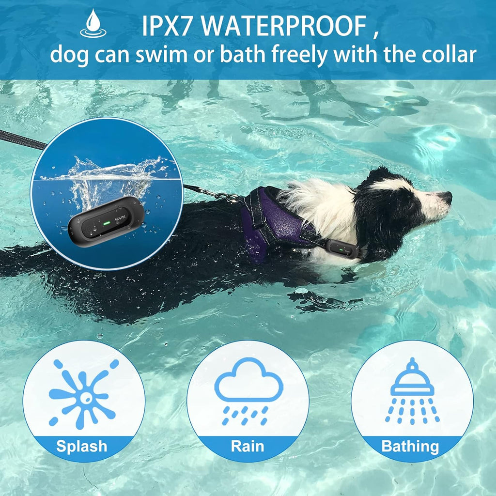 Rechargeable Dog Training Collar with Remote, 3 Modes, Waterproof, Pack of 2 R73197