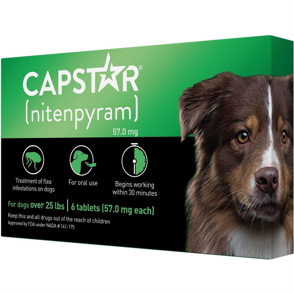 Flea Oral Treatment for Dogs X41270