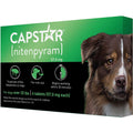 Flea Oral Treatment for Dogs X41270