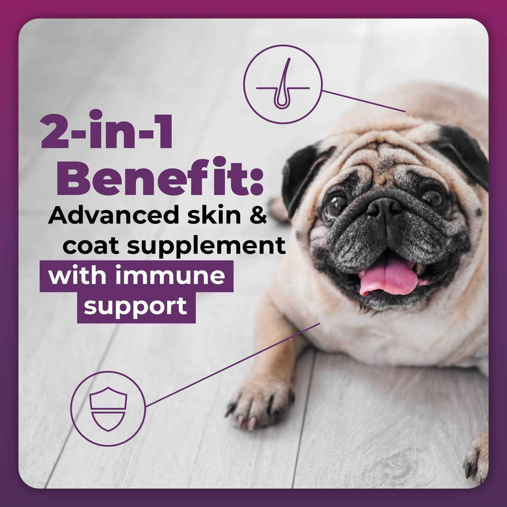 Duck Flavor Supplement for Dogs M3317